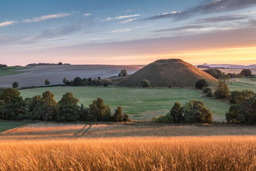 Golden field in the foreground, with a round grassy hill and scattered trees in a sunset countryside.