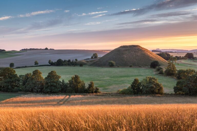 Golden field in the foreground, with a round grassy hill and scattered trees in a sunset countryside.